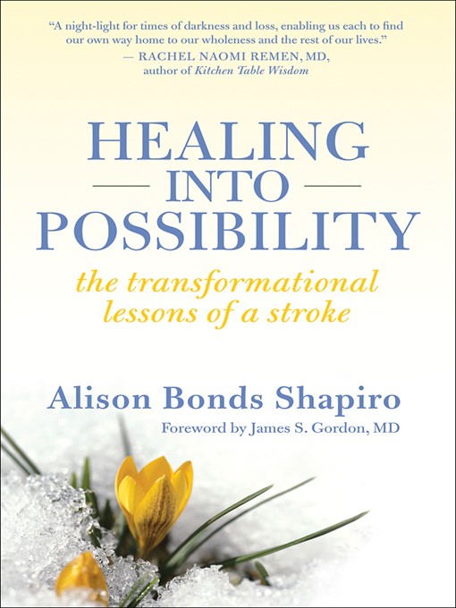 Title details for Healing into Possibility by Alison Bonds Shapiro - Available
